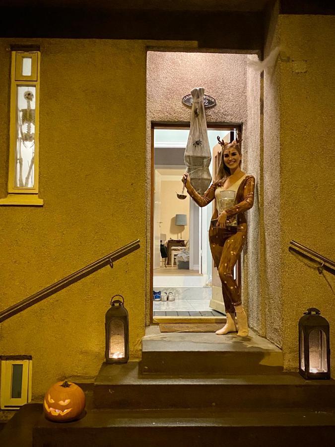 Casa Disa - Dreams, A Boutique Guesthouse In Reykjavik City'S Central Park And Botanical Garden In Laugardalur, Hot-Spring-Valley 외부 사진