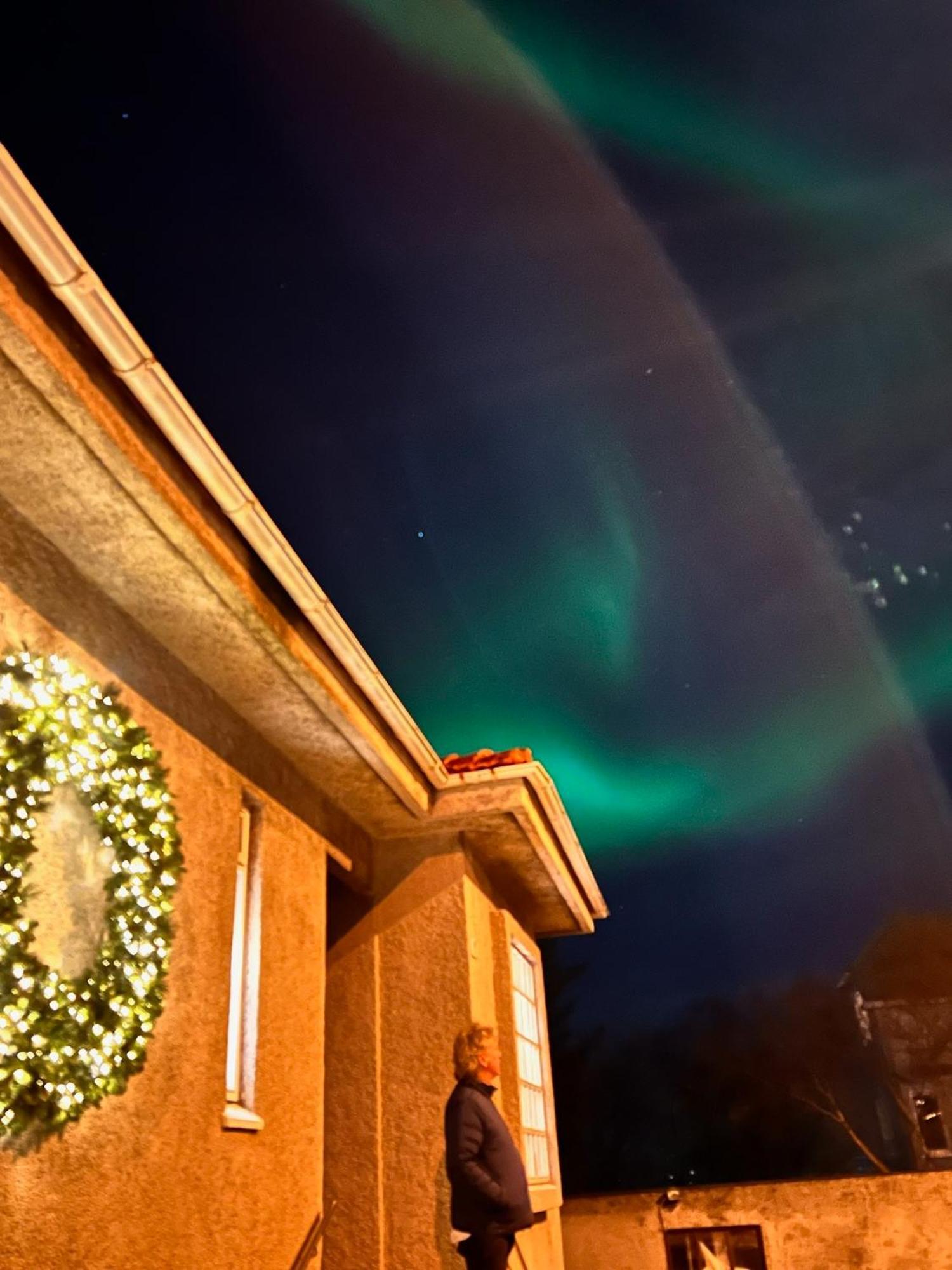 Casa Disa - Dreams, A Boutique Guesthouse In Reykjavik City'S Central Park And Botanical Garden In Laugardalur, Hot-Spring-Valley 외부 사진