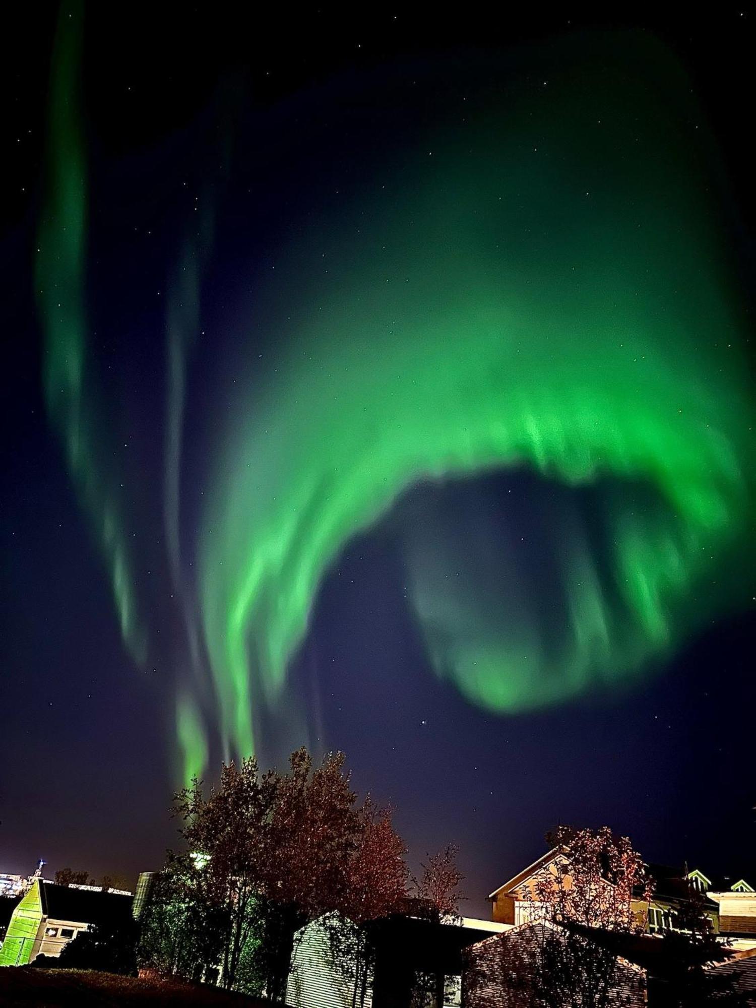 Casa Disa - Dreams, A Boutique Guesthouse In Reykjavik City'S Central Park And Botanical Garden In Laugardalur, Hot-Spring-Valley 외부 사진