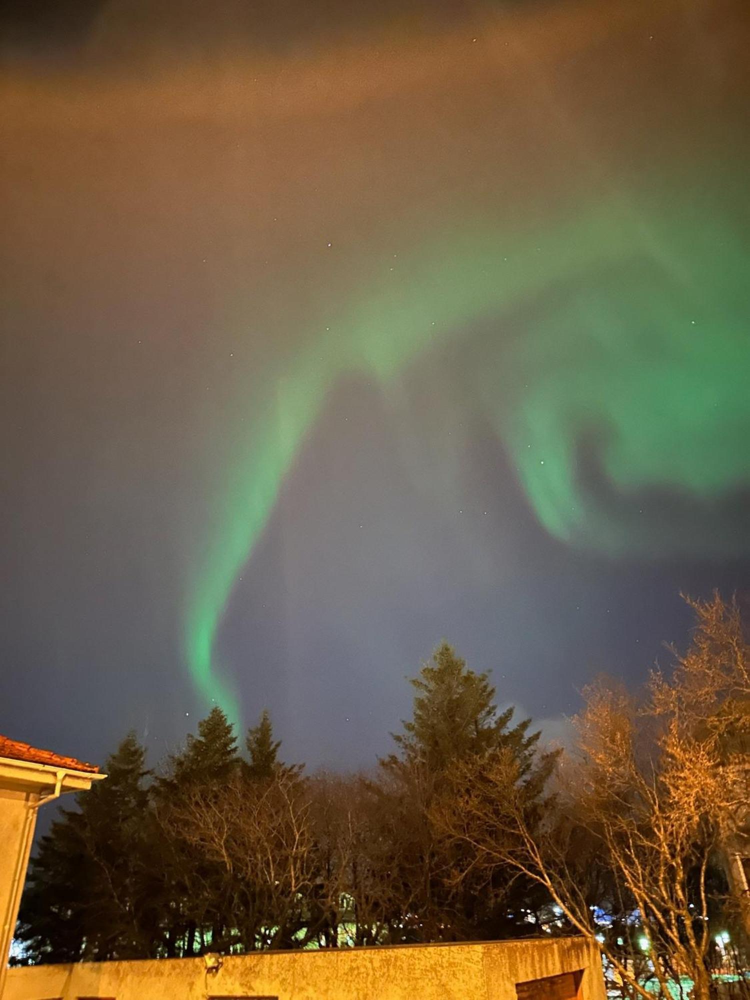 Casa Disa - Dreams, A Boutique Guesthouse In Reykjavik City'S Central Park And Botanical Garden In Laugardalur, Hot-Spring-Valley 외부 사진
