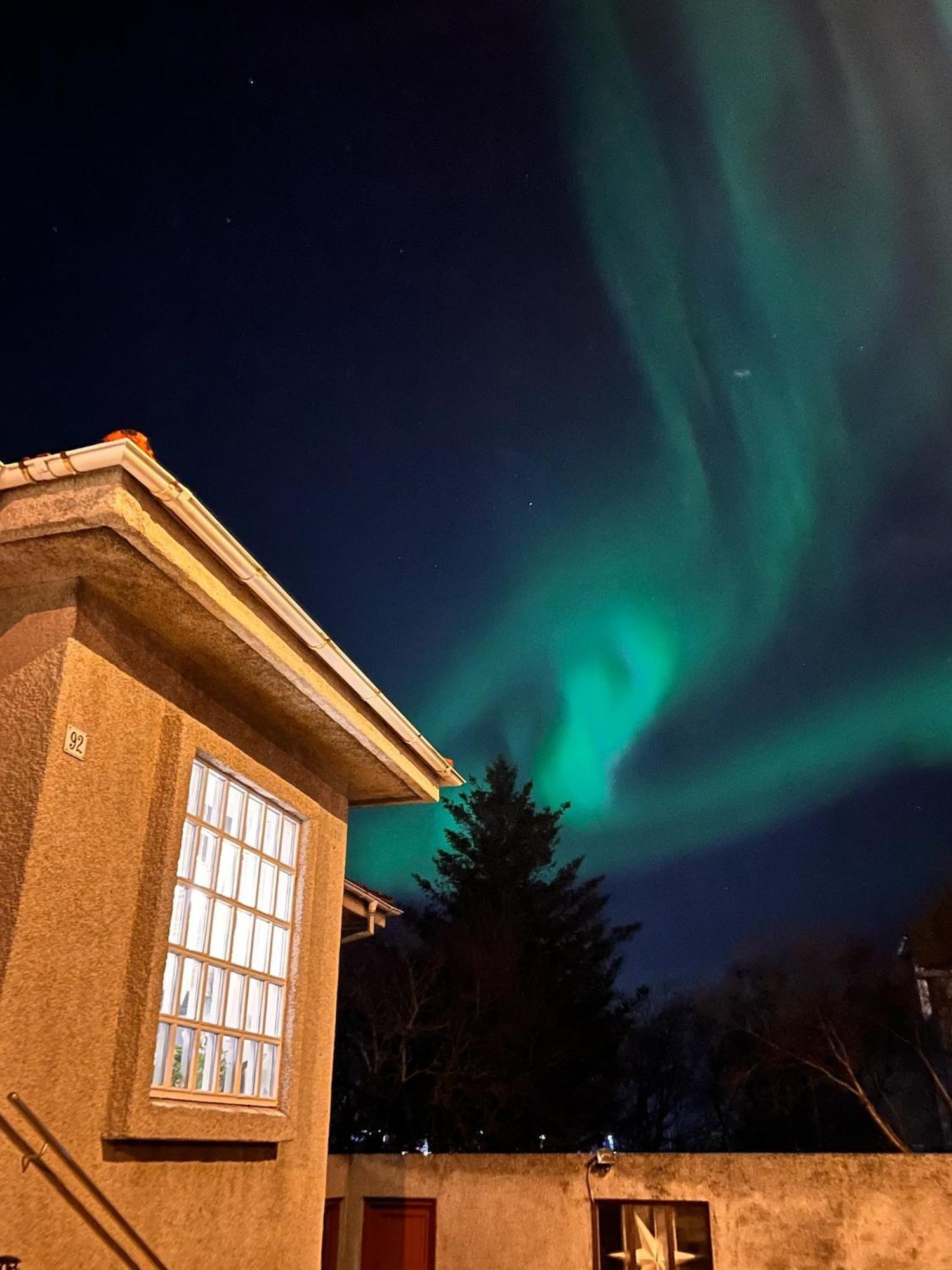 Casa Disa - Dreams, A Boutique Guesthouse In Reykjavik City'S Central Park And Botanical Garden In Laugardalur, Hot-Spring-Valley 외부 사진