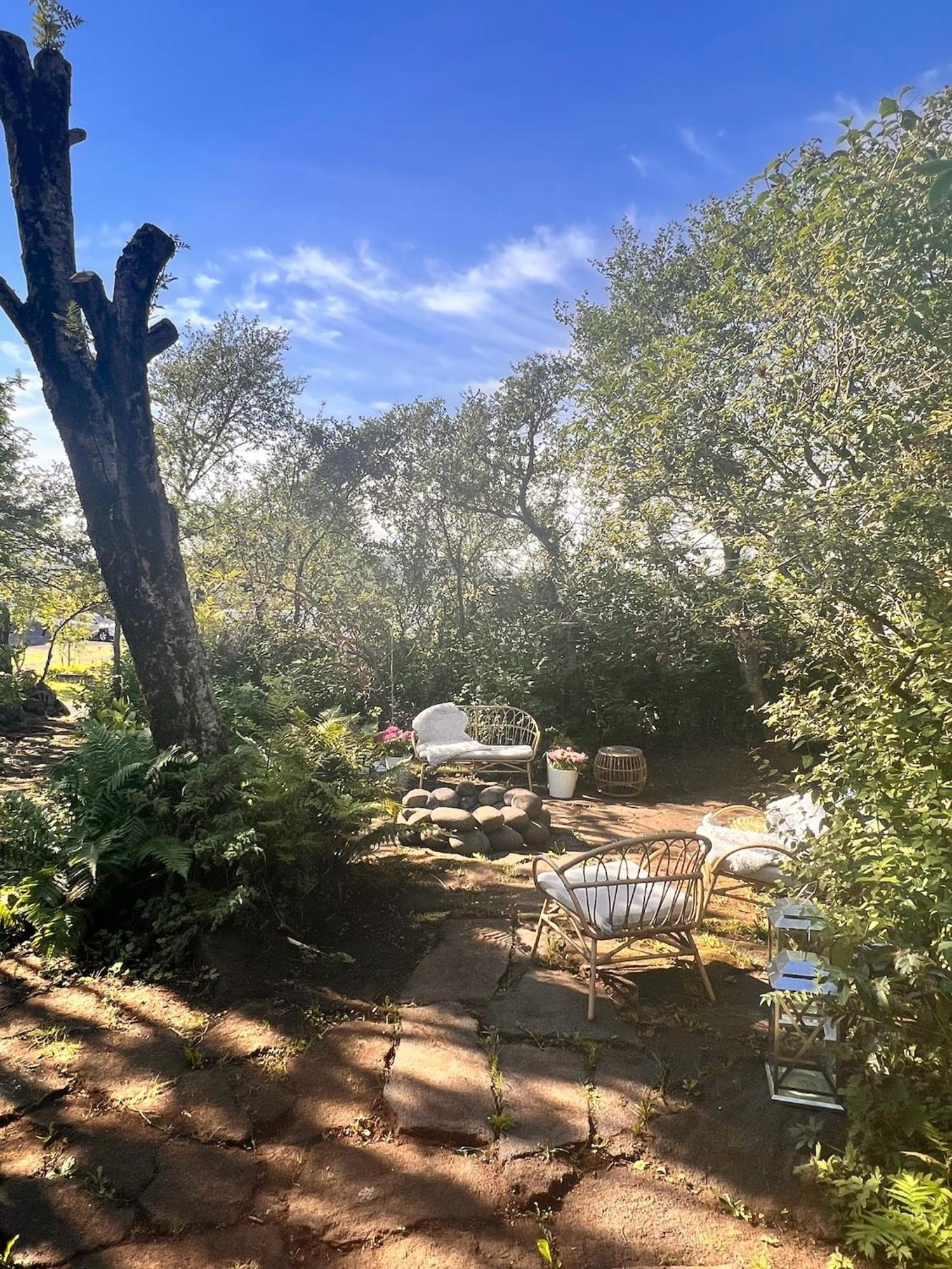 Casa Disa - Dreams, A Boutique Guesthouse In Reykjavik City'S Central Park And Botanical Garden In Laugardalur, Hot-Spring-Valley 외부 사진